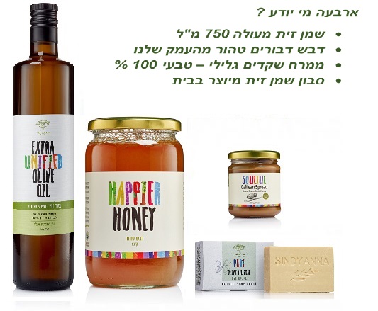 מארז מרובע סינדיאנת הגליל