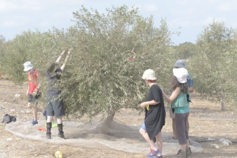 חברתי 1 חברתי 1
