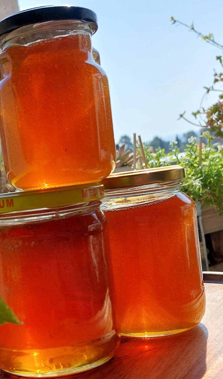 Michelle honey jars Michelle honey jars
